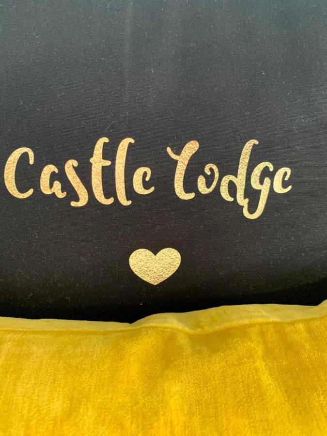 Castle Lodge Guest House นิวพอร์ต ภายนอก รูปภาพ